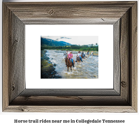 horse trail rides near me in Collegedale, Tennessee